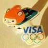 Visa Skeleton Pin